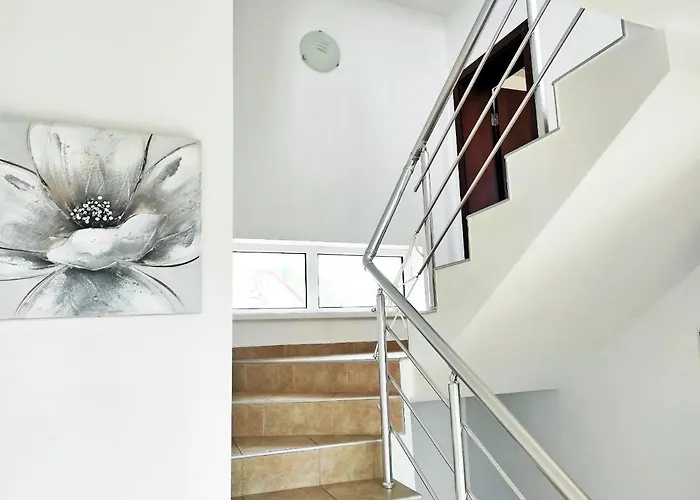 فيلة Regina Bella