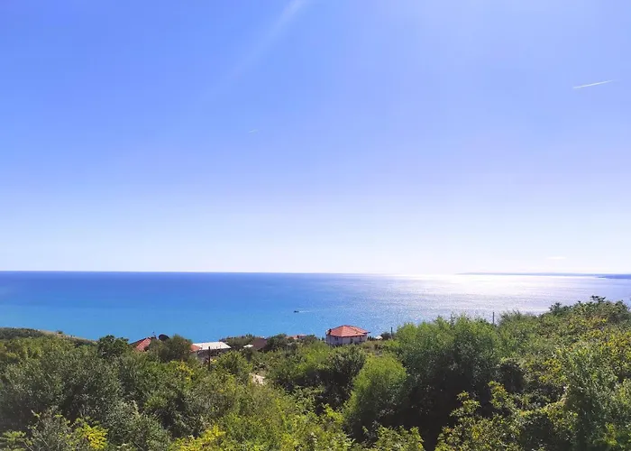 Regina Bella فيلة بالشيك